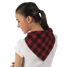 pañuelo triangular CACHIRULO