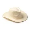 Sombrero FANDON