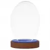 TROFEO "RIGEL" de cristal con estuche