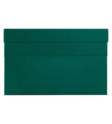 Caja transferencia liderpapel folio lomo 118 mm color verde 390x118x260 mm