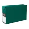 Caja transferencia liderpapel folio lomo 118 mm color verde 390x118x260 mm