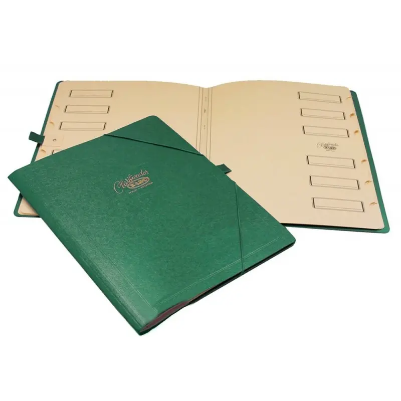 Carpeta clasificador carton compacto saro folio verde -12 departamentos