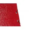 Carpeta proyectos liderpapel folio lomo 90mm carton gofrado roja