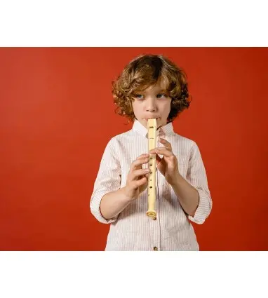 Flauta hohner 9508 color marfil funda verde