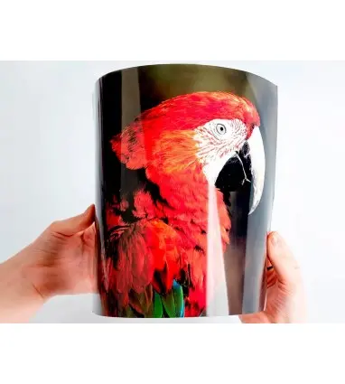 Papel q-connect foto glossy kf01103 din a4 digital photo para ink-jet bolsa de 20 hojas de 180 gr