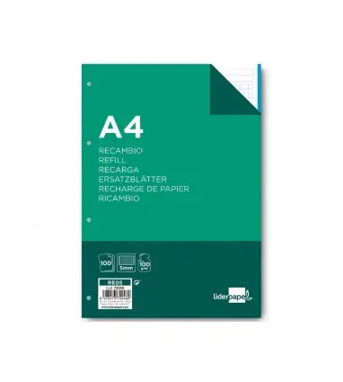 Recambio liderpapel a4 100 hojas 100g/m2 cuadro 5mm 4 taladros bandas de 5 colores