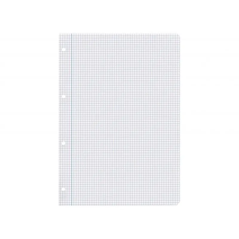 Recambio liderpapel a4 100 hojas 100g/m2 cuadro 4mm con margen 4 taladro