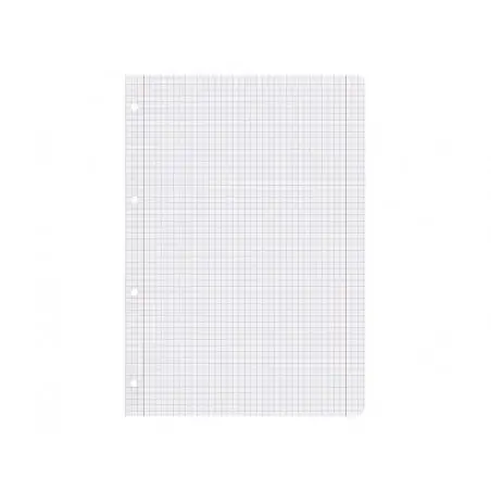 Recambio liderpapel a4 100 hojas 100g/m2 cuadro 5mm con doble margen 4 taladros
