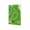 Recambio liderpapel a4 100 hojas 100g/m2 cuadro 5mm con doble margen 4 taladros