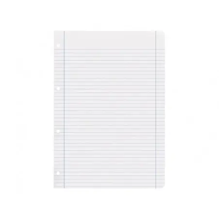 Recambio liderpapel a4 100 hojas 100g/m2 horizontal con doble margen 4 taladros