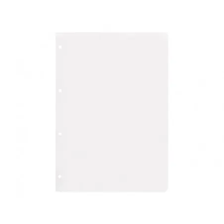 Recambio liderpapel a4 100 hojas 100g/m2 liso sin margen 4 taladros