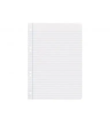 Recambio liderpapel cuarto 100 hojas 60g/m2 horizontal con margen 6 taladros