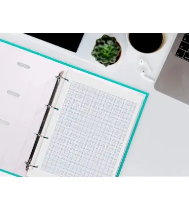 Recambio liderpapel a4 100 hojas 60g/m2 rayado nº 46 4 taladros