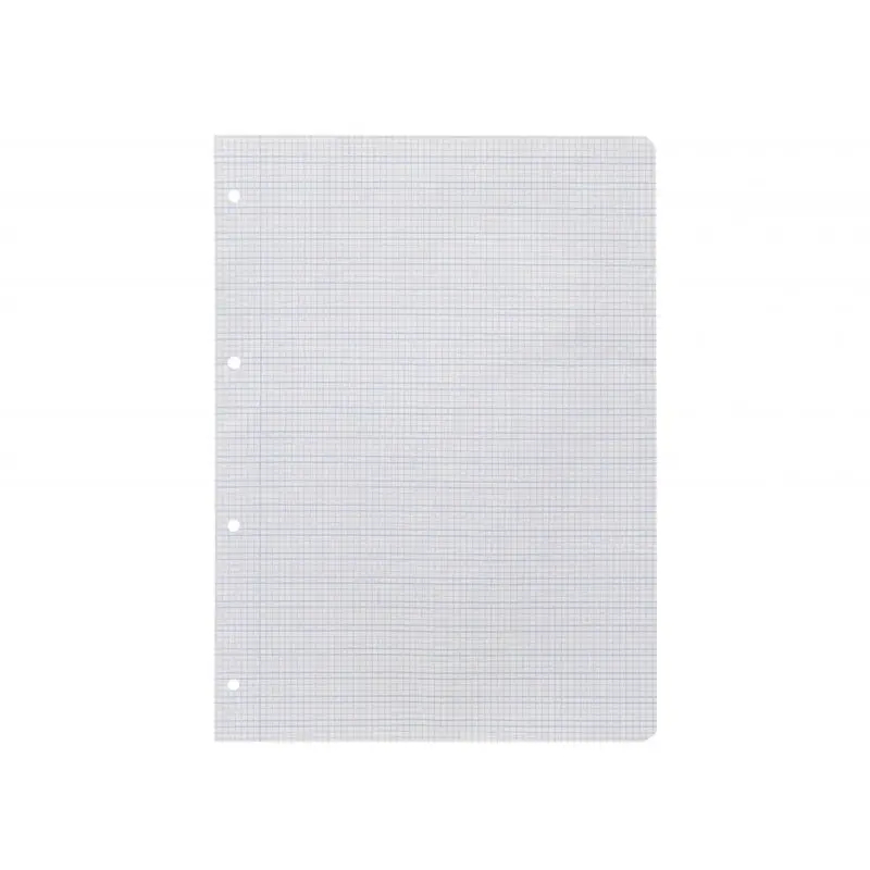 Recambio liderpapel a4 pautaguia 100 hojas 75 g cuadriculado pautado 3 mm con margen 4 taladros