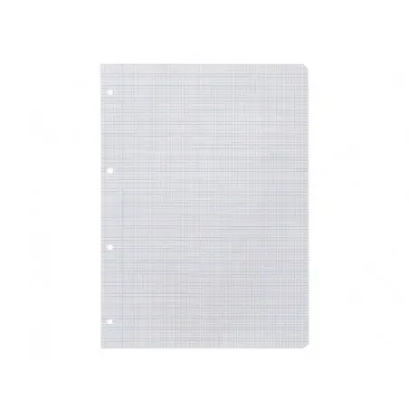 Recambio liderpapel a4 pautaguia 100 hojas 75 g cuadriculado pautado 3 mm con margen 4 taladros