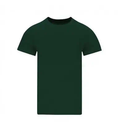 Camiseta Adulto Color Stiles 100% Algodón Ring Spun