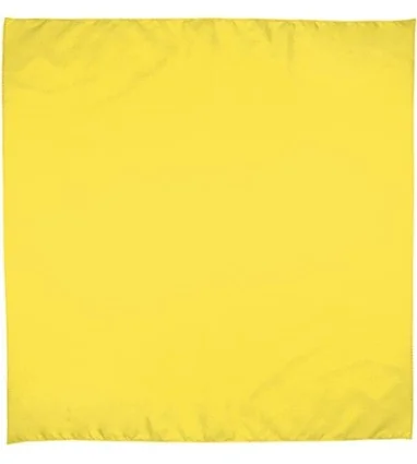 pañuelo cuadrado BANDANA