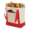 Bolsa Nevera Darteli de 14 L de Non-Woven y Aluminio