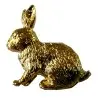 Pin jabali