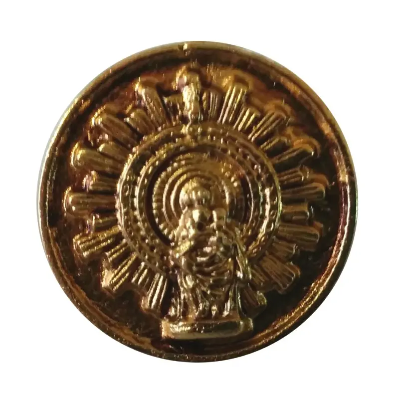 Pin Guardia Civil haz Lictoris