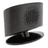 RELOJ RADIO BLUETOOTH SWING PIERRE CARDIN