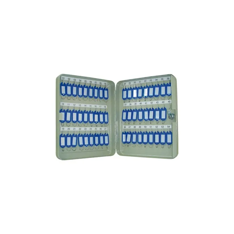 ARMARIO METALICO PORTALLAVES Q-CONNECT 300X240X60 MM PARA 54 LLAVES