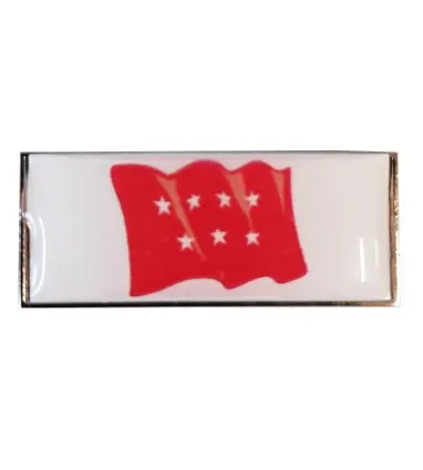 Pin Comunidad de Madrid en resina