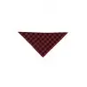 pañuelo triangular CACHIRULO