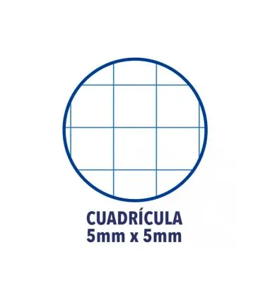 Recambio color 1 oxford din a4+ 80 hojas 90 gr cuadro 5 mm 4 taladros color rosa chicle