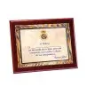 Placa madera con chapa Color sublimable (245x195mm) Totalmente Personalizable Policia Nacional