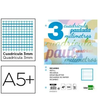Recambio liderpapel cuarto pautaguia 100 hojas 75 g cuadriculado pautado 3 mm con margen 6 taladros.