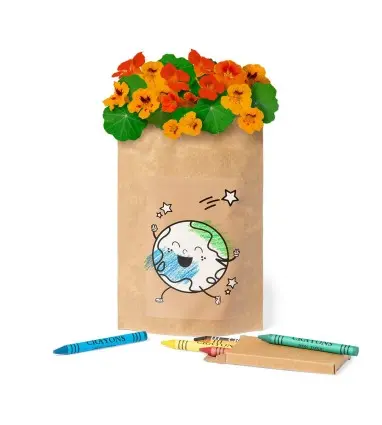 MACETA de Papel Reciclado coloreable con ceras HALORS con semillas