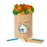 MACETA de Papel Reciclado coloreable con ceras HALORS con semillas