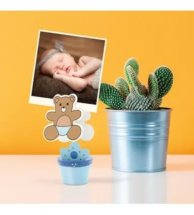 Maceta Pinza Portafoto Osito