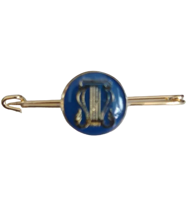 Alfiler Escudo