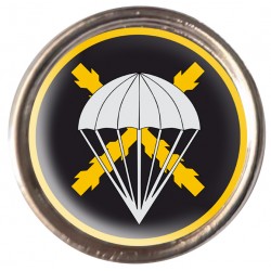 Pin Brigada Paracaidista