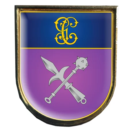 Insignia Distintivo de Permanencia Armamento De Guardia Civil con borde y trasera Dorados