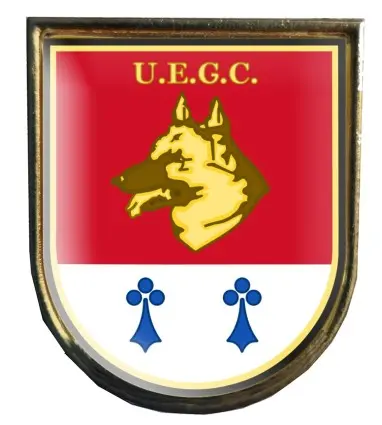 Insignia Guías caninos Policía CON BORDE Y TRASERA DORADOS