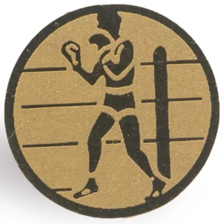 DISCO de 2,5 cm de Diámetro de BOXEO para medallas o Trofeos