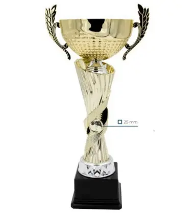 Trofeo Económico Dorado asas dobles con hueco para poner disco de medallas
