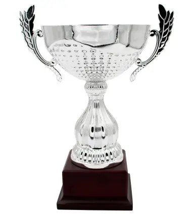 Trofeo Clásico 4225 de metal con Asas en varias medidas