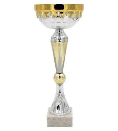 Trofeo Económico Color Plateado y Dorado