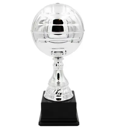 Trofeo Económico balón de Voleyball